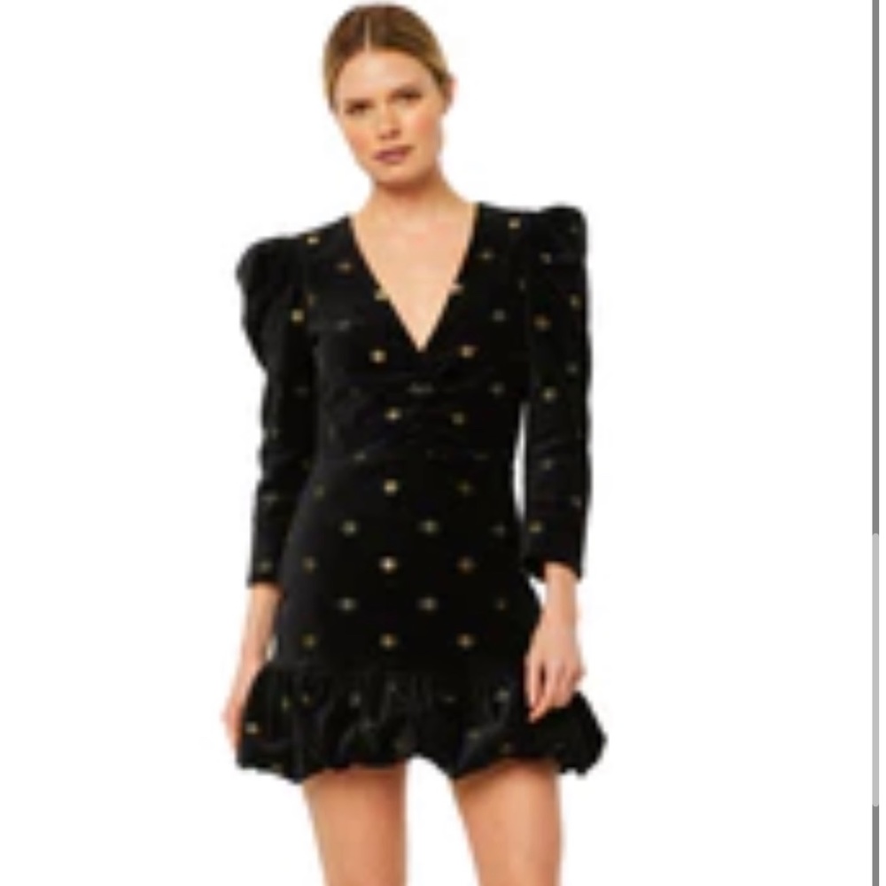 Brand New Goldeneye Velveteen Dress